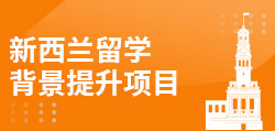 新西兰留学背景提升项目